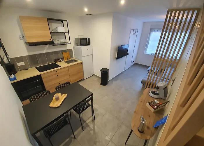 Appartement ô'mille'lieux, Calme, 1 Ch, Proximité Lille, Lens Et Gares Provin